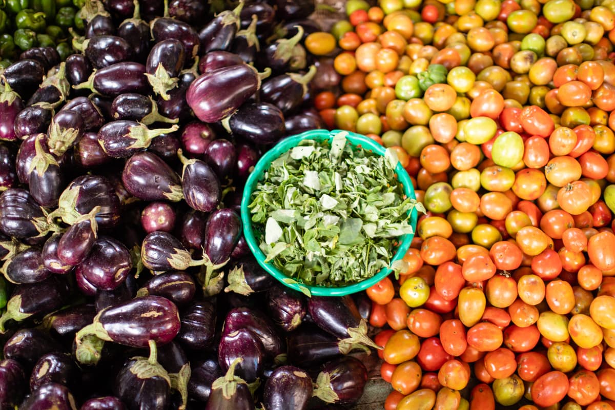 Professional investor analyzing nutrition investment portfolio data