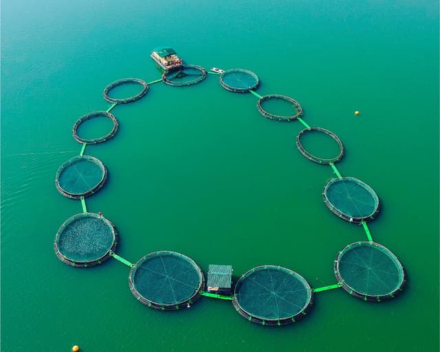 Worker in West African food production facility