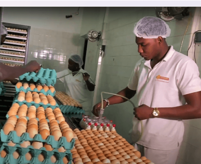 Worker in West African food production facility