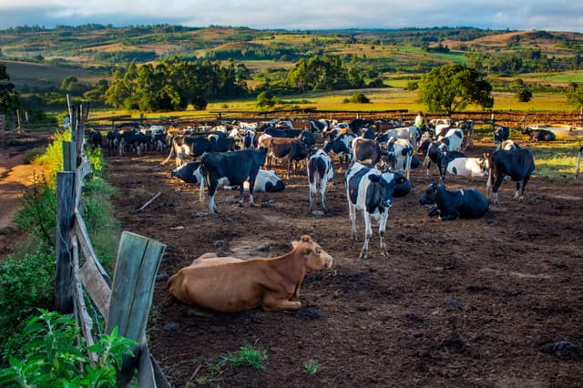 Worker in West African food production facility