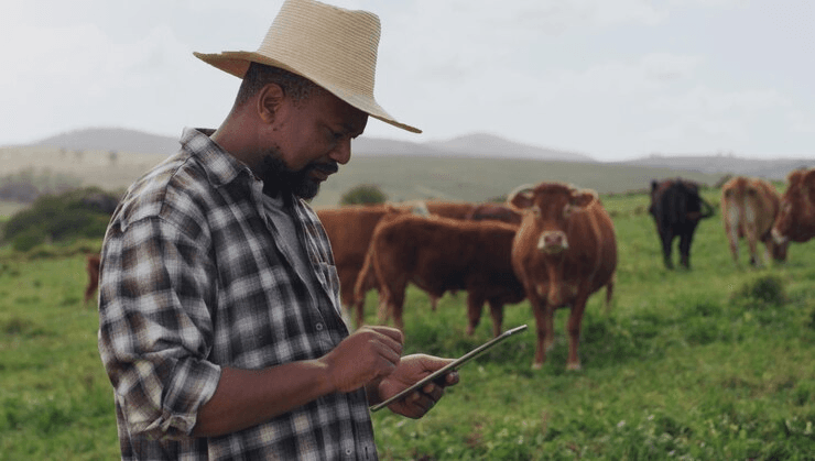 Women carrying seedlings